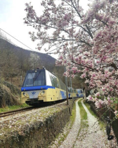 SSIF Elettrotreno Ferrovia Vigezzina