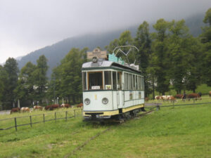 AFBO 1 Al terminal in Oropa Santuario con mucche al pascolo